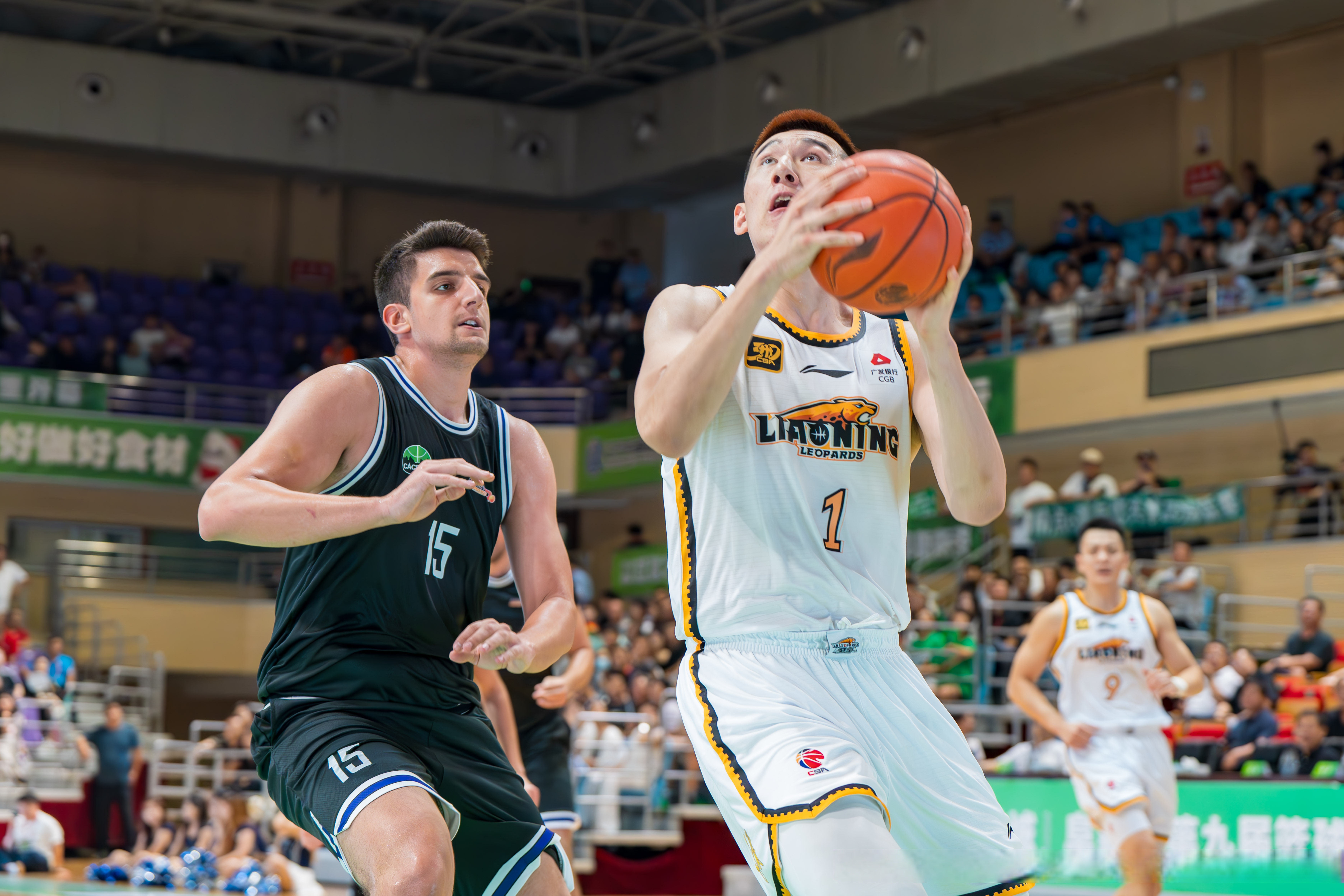 辽宁队主力受伤，战绩下滑，前景堪忧的简单介绍